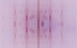 2014 05 25 Nothing New Under The Sun 31-white.jpg